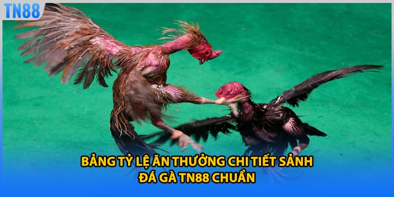 Bảng tỷ lệ ăn thưởng chi tiết sảnh đá gà TN88 chuẩn