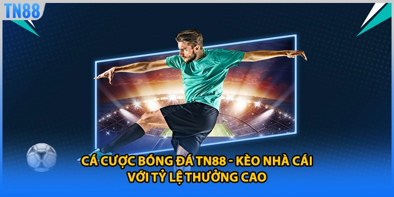 Cá Cược Bóng Đá TN88 - Kèo Nhà Cái Với Tỷ Lệ Thưởng Cao