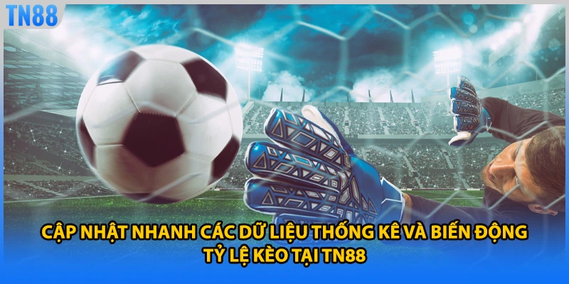 Cập nhật nhanh các dữ liệu thống kê và biến động tỷ lệ kèo tại TN88