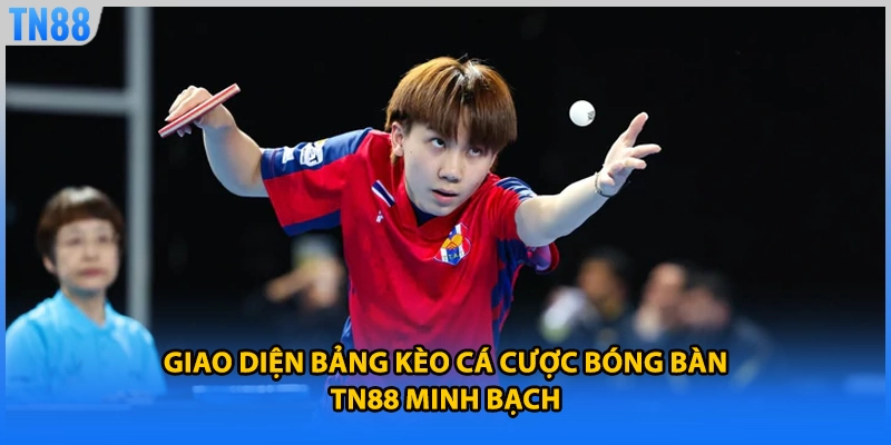 Giao diện bảng kèo cá cược bóng bàn TN88 minh bạch