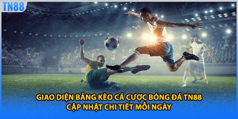 Giao diện bảng kèo cá cược bóng đá TN88 cập nhật chi tiết mỗi ngày