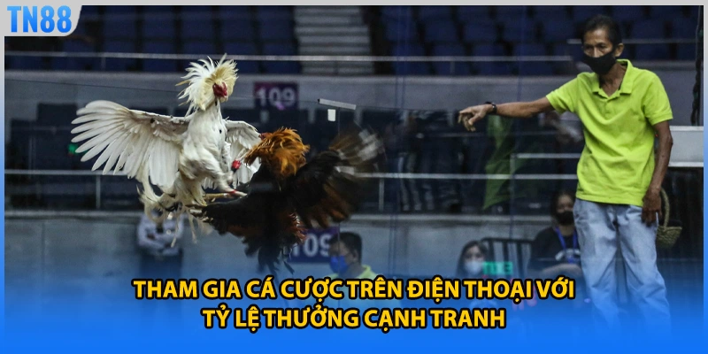 Tham gia cá cược trên điện thoại với tỷ lệ thưởng cạnh tranh