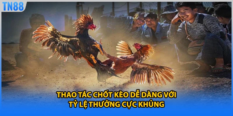 Thao tác chốt kèo dễ dàng với tỷ lệ thưởng cực khủng
