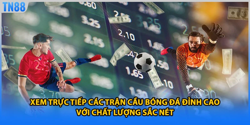 Xem trực tiếp các trận cầu bóng đá đỉnh cao với chất lượng sắc nét